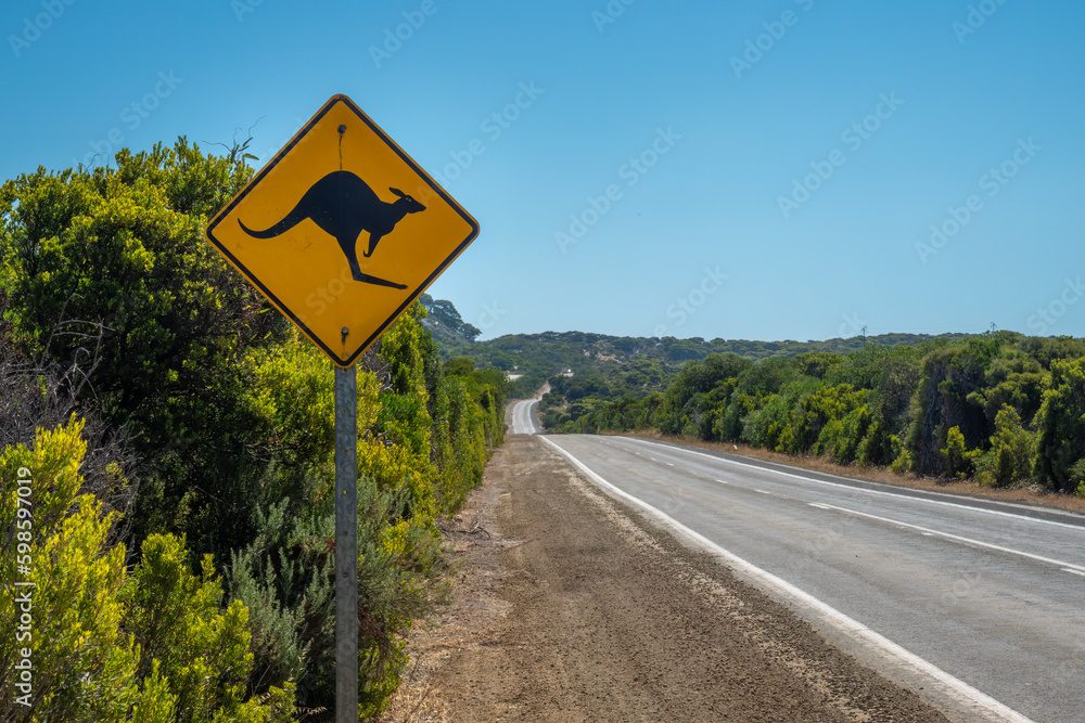 Road sign on Kangaroo Island warning about kangaroos and wallabies on the road, South Australia. The roads are indeed and alas littered with decomposing marsuüpial carcasses