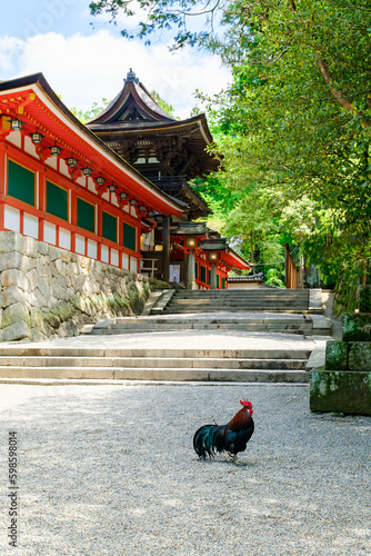 【奈良県】天理市 石上神宮 (2023/04/27撮影) photo