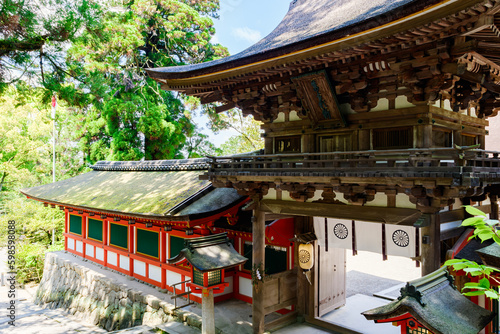 【奈良県】天理市 石上神宮 (2023/04/27撮影) photo