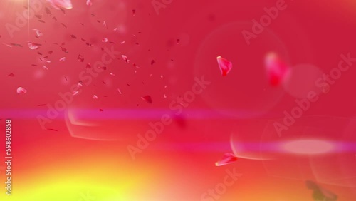 Romantic Rose Petals Background Loop.
A Stock Motion Graphics romantic animation with rose petals - sakura cherry blossom, falling over a red-colored background with beautiful light flares! photo