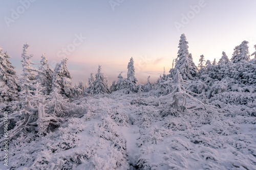 Wintermood sunrise in a mountains with frozen stones and spruce trees with inversion in Jeseniky mountains Czech Republic © Jan