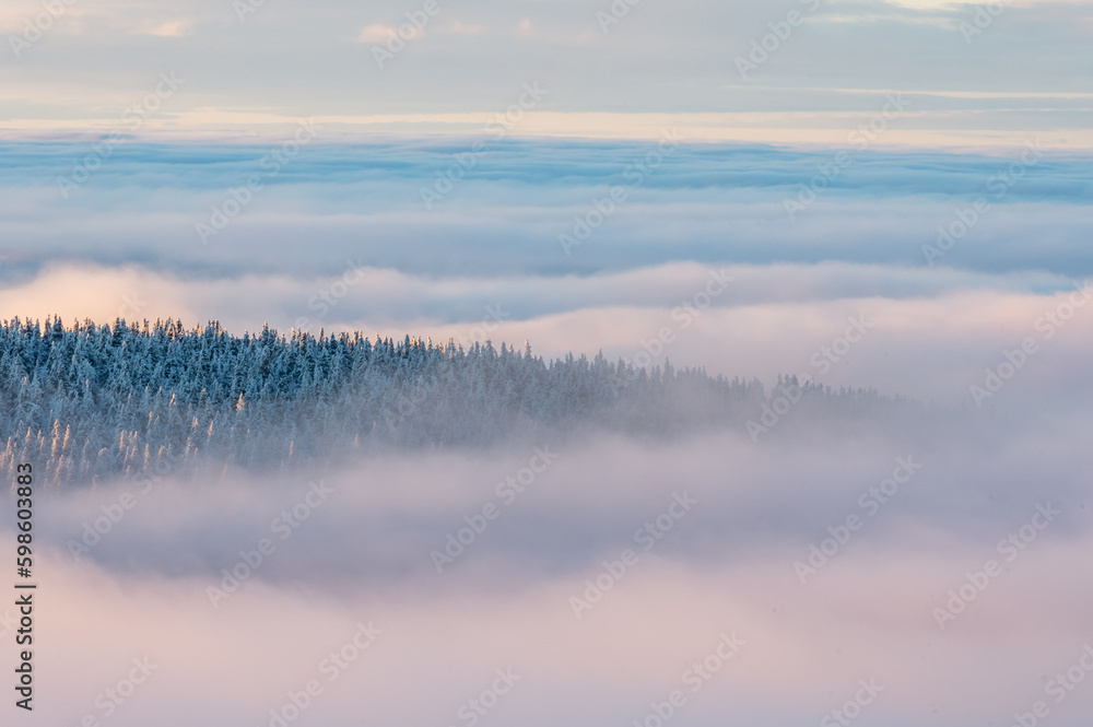 Wintermood sunrise in a mountains with frozen stones and spruce trees with inversion in Jeseniky mountains Czech Republic Wintermood sunrise in a mountains with frozen stones and spruce trees with inversion in Jeseniky mountains Czech Republic