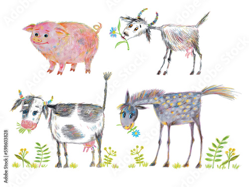 Set of drawings of pets with colored pencils on white background, pig, goat, cow, horse.