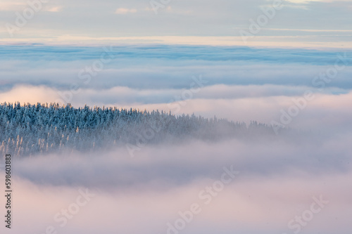 Wintermood sunrise in a mountains with frozen stones and spruce trees with inversion in Jeseniky mountains Czech Republic