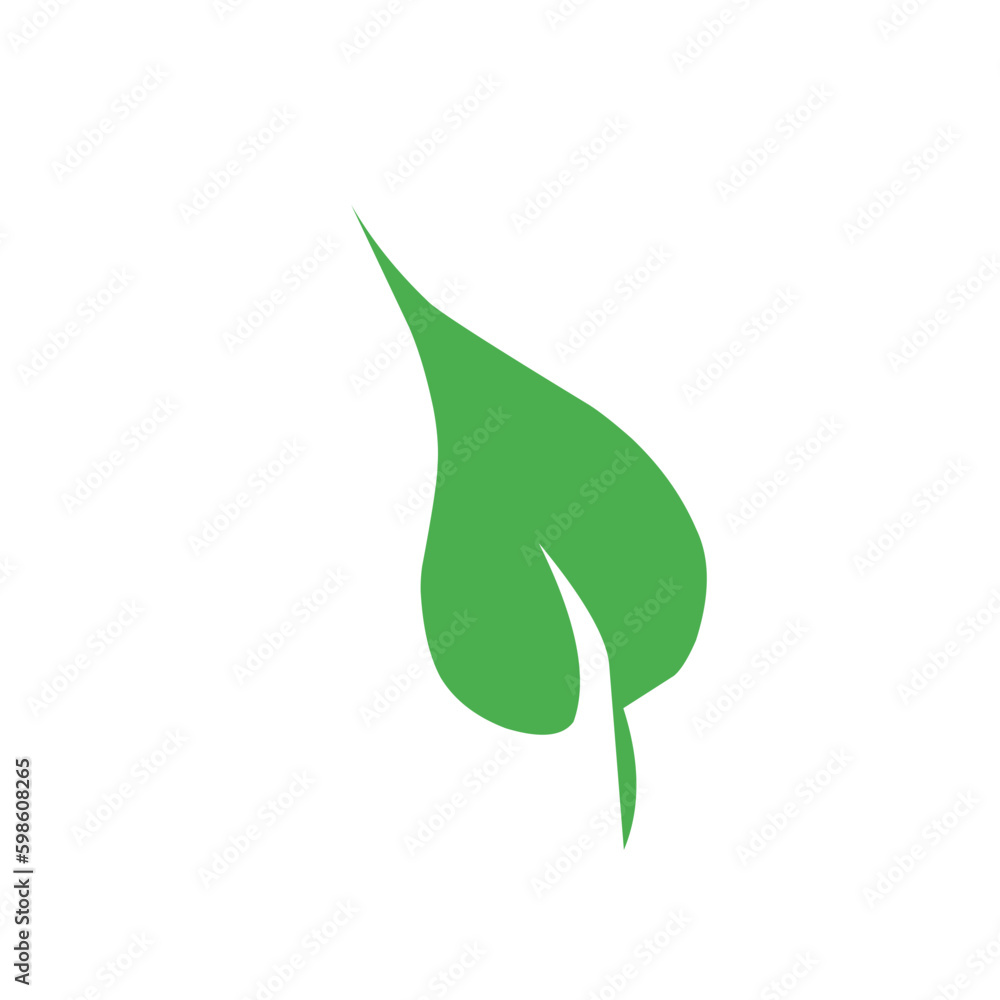 Flat Green Leaf Flat Green Leaf