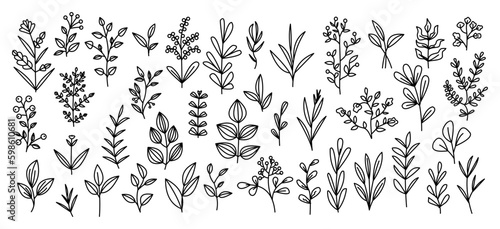 Cute hand drawn abstract plants and flowers line art Vector illustration. Trendy Modern cartoon style pattern template collection. for logo, tattoo, invitation, card, and prints.