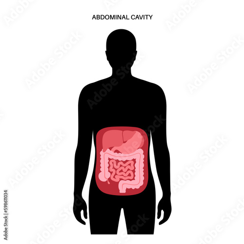 Abdominal cavity poster Generative AI