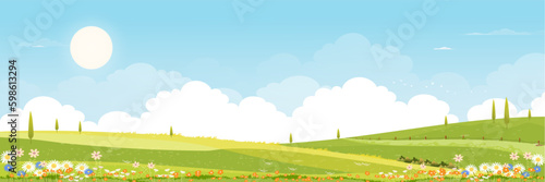 Spring green fields landscape with mountain  blue sky and clouds background Panorama peaceful rural nature in springtime with green grass land. Cartoon vector illustration for spring and summer banner