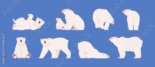Polar bears adults and baby characters set flat vector illustration isolated.