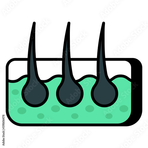 A unique design icon of follicle 