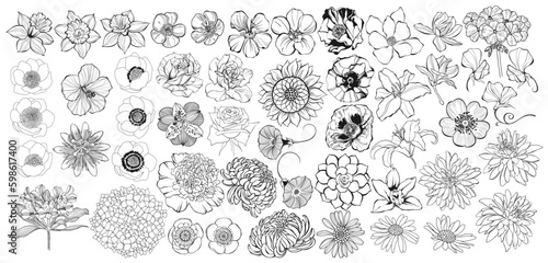 Flowers. Hand drawn big vector collection on white. Isolated elements. Perfect for logo, invitations, greeting cards and as a design element.