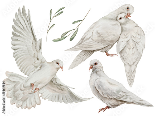 White pigeons set in watercolor style isolated on a white background. Hand-drawn watercolor floral illustration on transparent background
