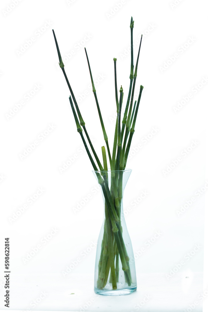 Lots of twigs arrange to decorate the bouquet Lots of twigs arrange to decorate the bouquet