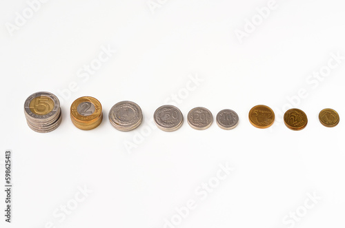 money Polish coins on a white background