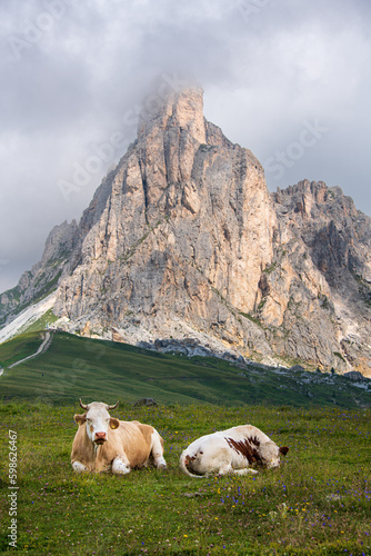 View of Passo Giau, Ra Gusela, Nuvolau, Italy