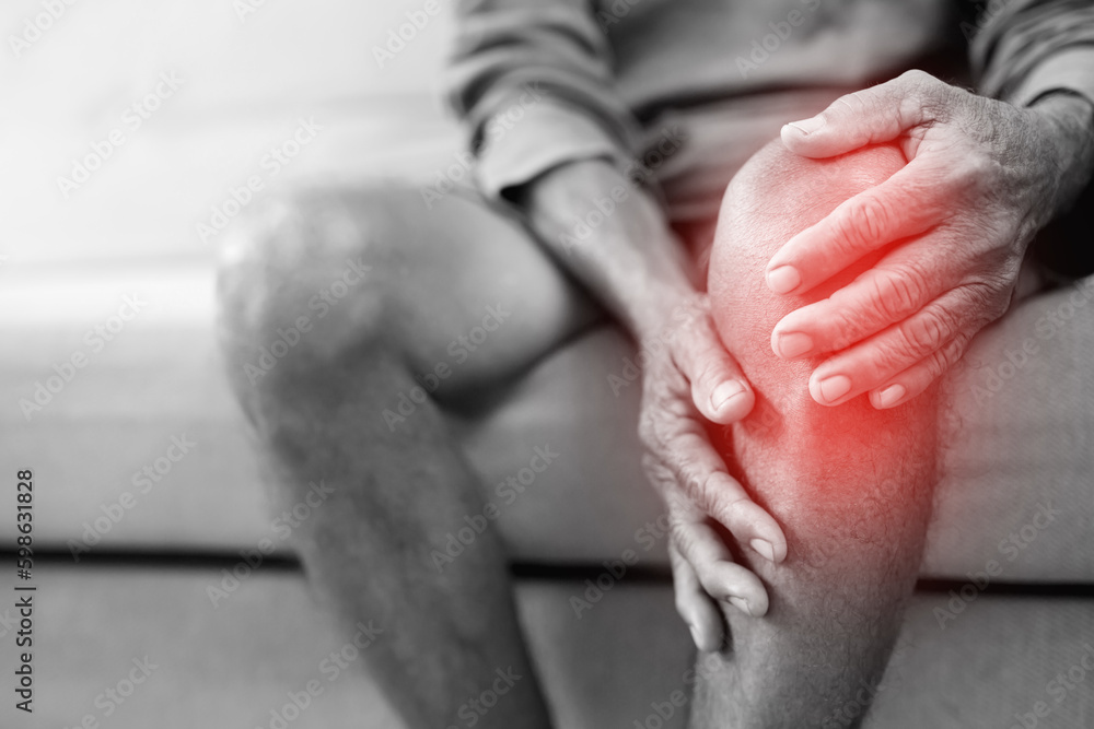 Osteoarthritis is more common in the elderly. Causes knee pain