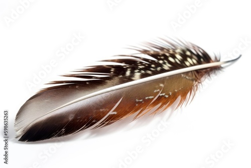 Feathers in the dark background. Light falling on beautiful feathers. Great plan. Can be used for presentations, clendar, screensavers. created with Generative AI technology photo