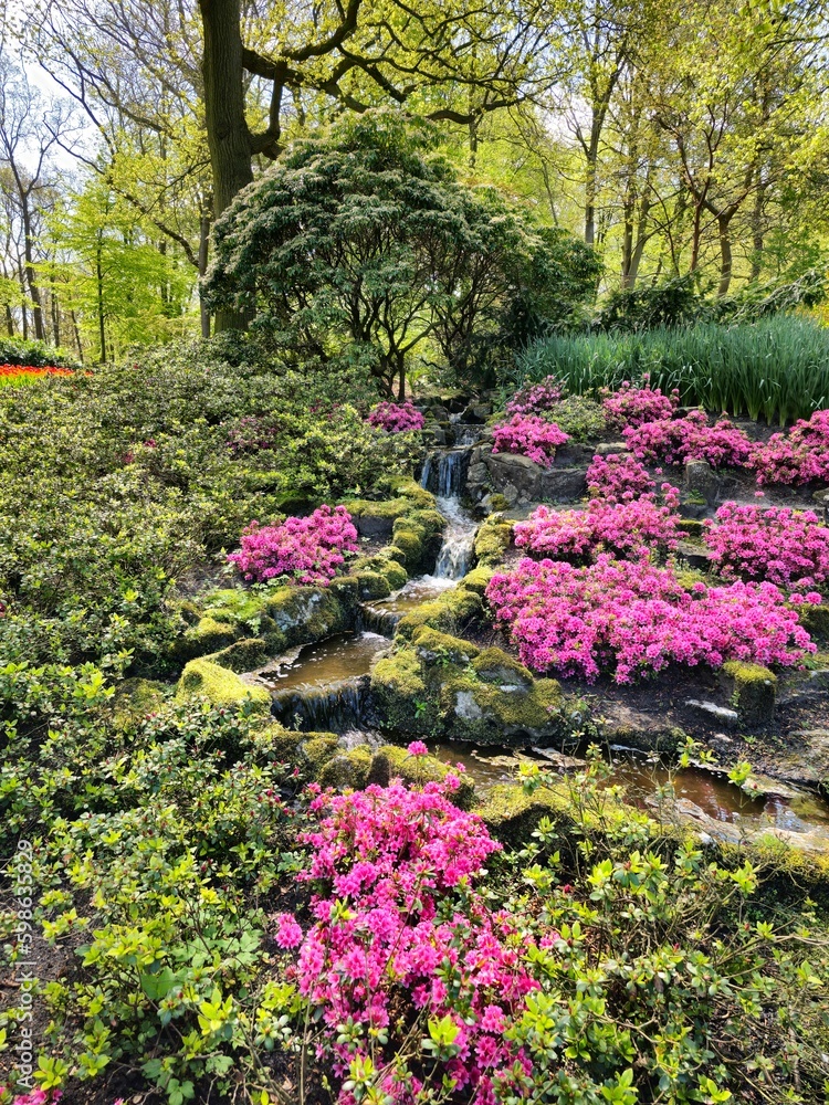 Forest waterfall Forest waterfall