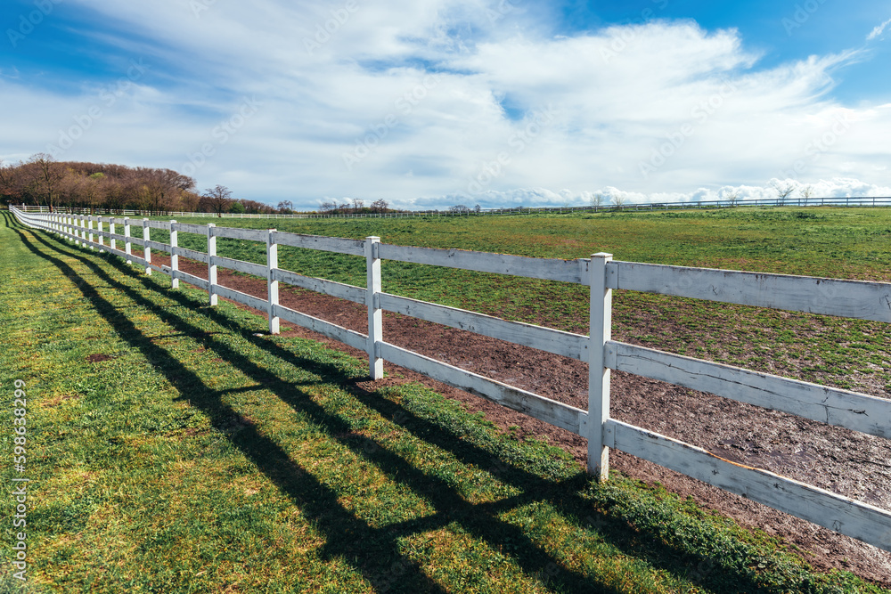 Horse paddock white wooden fence on equestrian farm