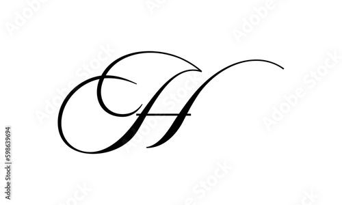 Abstract letter H logo vector design