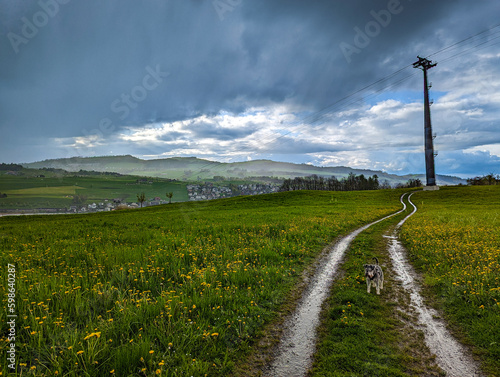Swiss Alpine Trail: Rain-Soaked Path with Reflective Puddles near Küssnacht am Rigi, Schwyz-Luzern Region, Featuring Cable Car Pole and Scenic Bridge