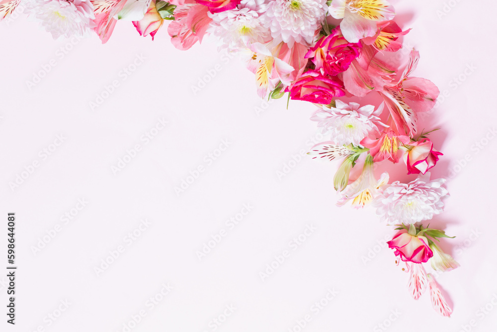Fototapeta premium alstroemeriaand chrysanthemums flowers on pink background