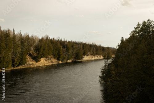 the river in the forest