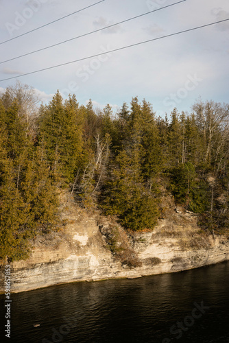 the river in the forest