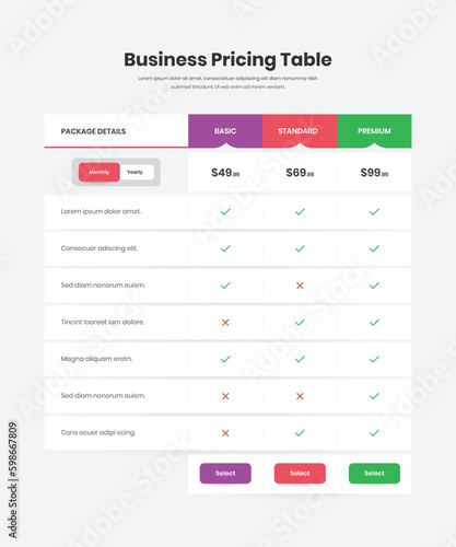 Professional business package list and subscription plan pricing table design