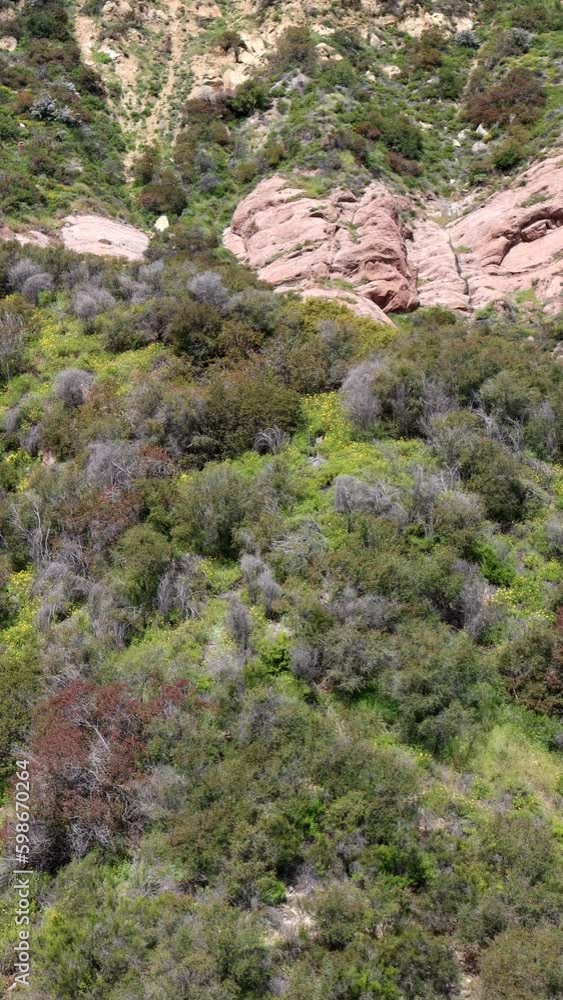 The incredibly biodiverse native plant community known as Chaparral is extremely threatened and needs our help in The Santa Monica Mountains. The incredibly biodiverse native plant community known as Chaparral is extremely threatened and needs our help in The Santa Monica Mountains.