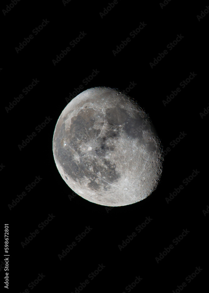 Obraz premium full moon in the night