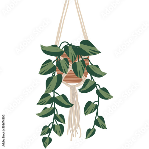 Exotic houseplant vector hanging flower flat icon