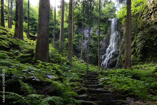 Fototapeta Naklejka Na Ścianę i Meble -  The Burgbach Waterfall in the coniferous forest falls over granite rocks into the valley near Bad Rippoldsau-Schapbach, landscape shot in nature, Black Forest, Germany.