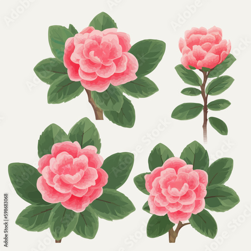 These Camellia flower vectors will make your project come alive with their beauty.