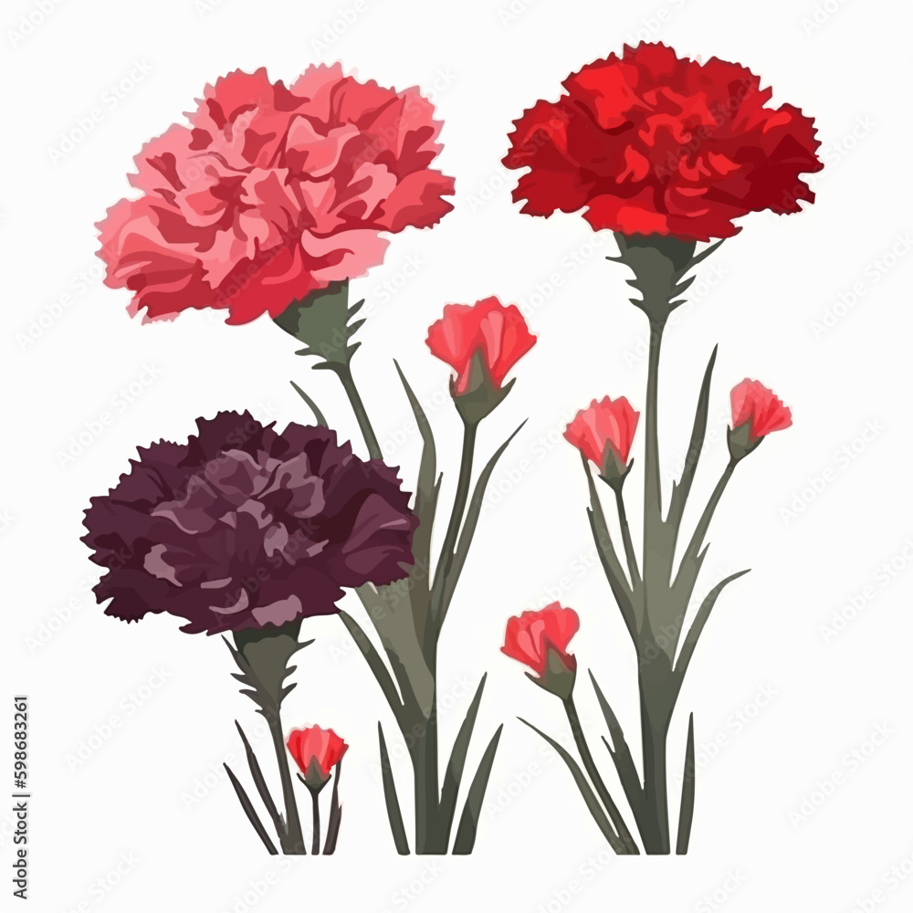 A collection of delicate carnation flower illustrations with a watercolor effect. A collection of delicate carnation flower illustrations with a watercolor effect.