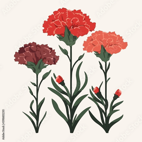 A collection of vintage-style carnation flower illustrations with a classic feel.
