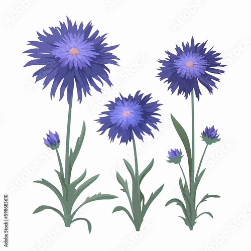 Set of cornflower flower stickers, perfect for decorating your planner or journal