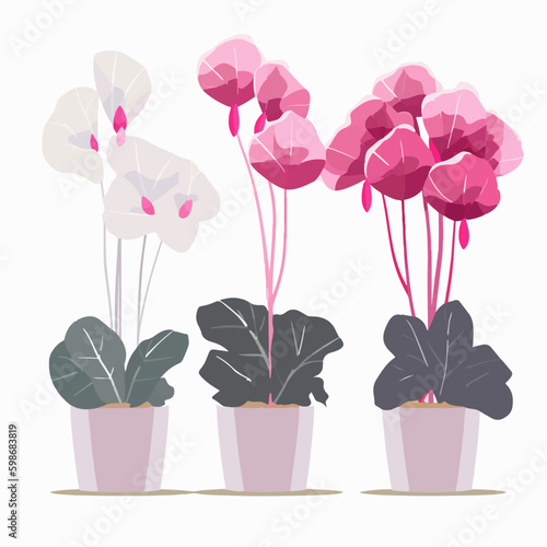 Pack of stylish cyclamen flower illustrations for branding and promotional materials.