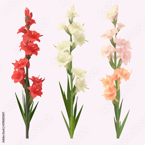 Collection of graceful gladiolus flower illustrations inspired by nature's beauty.
