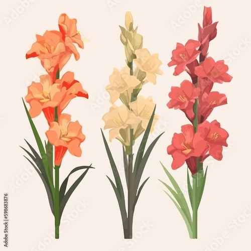 Vector pack featuring a variety of gladiolus flower illustrations for versatile use.