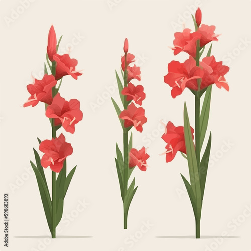 A collection of minimalistic gladiolus flower illustrations with clean lines and simplicity.