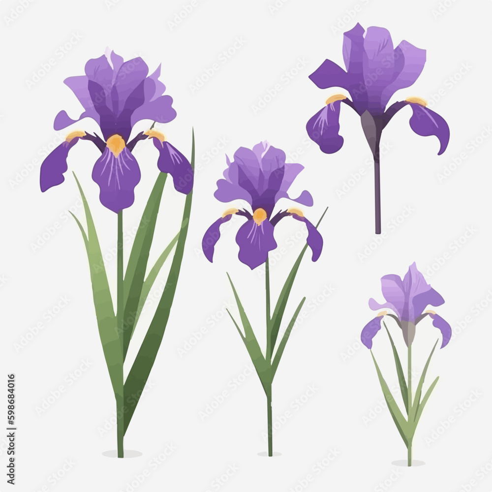 A delightful assortment of iris vector art to enhance your designs.