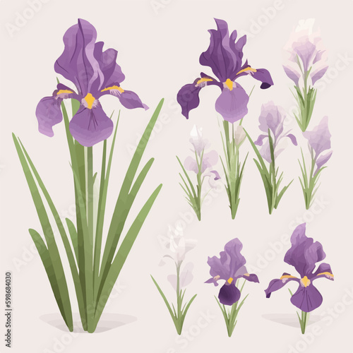 Assortment of modern and trendy iris vector designs for a contemporary style.