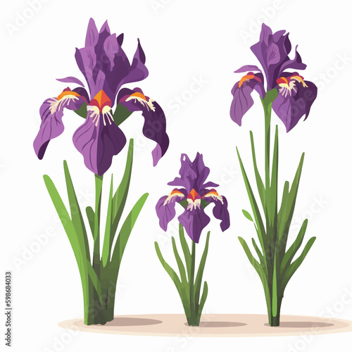 Pack of whimsical iris illustrations with a hint of playfulness.