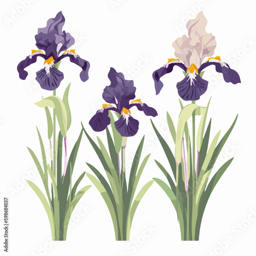 Set of delicate iris stickers to add a touch of beauty to your artwork.