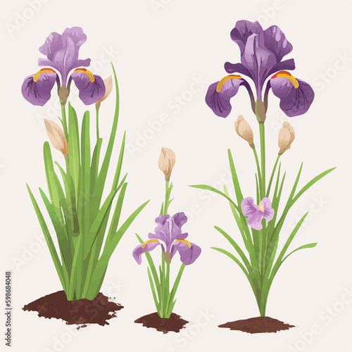 Set of decorative iris stickers to bring a touch of elegance to your designs.