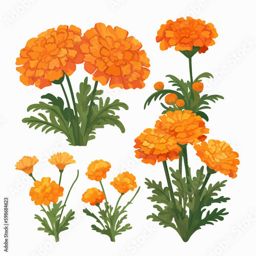 Assortment of stylish marigold vector icons. © Llama-World-studio