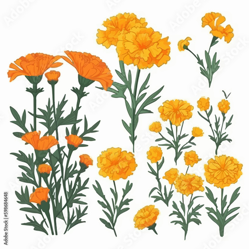 Wallpaper Mural Vector pack featuring a variety of marigold-themed graphic elements. Torontodigital.ca