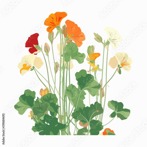 Collection of whimsical nasturtium illustrations in vector format.