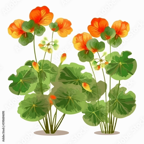 Set of artistic nasturtium stickers for your projects.